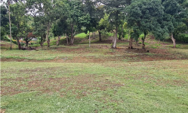 Se vende Terreno de 12000 mts2 en Villa Rosario Capira