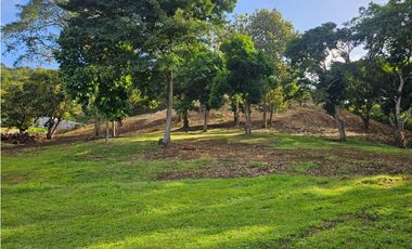 Se vende Terreno de 12000 mts2 en Villa Rosario Capira