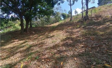 Se vende Terreno de 12000 mts2 en Villa Rosario Capira
