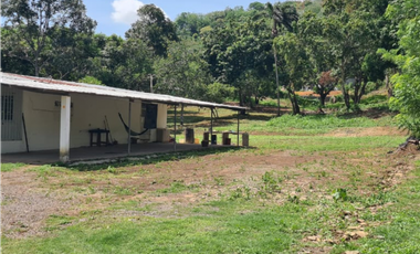 Se vende Terreno de 12000 mts2 en Villa Rosario Capira