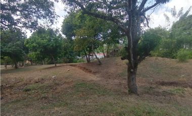 Se vende Terreno de 12000 mts2 en Villa Rosario Capira