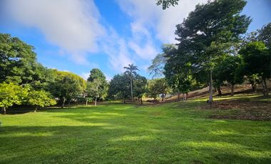 Se vende Terreno de 12000 mts2 en Villa Rosario Capira