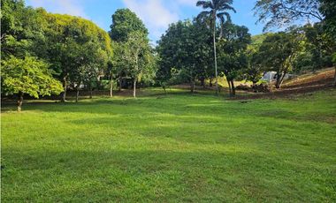 Se vende Terreno de 12000 mts2 en Villa Rosario Capira