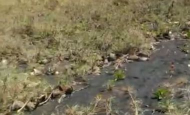 Tanah Pinggir Pantai Langsung Laut Lepas. Cocok untuk Tambak