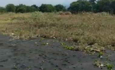 Tanah Pinggir Pantai Langsung Laut Lepas. Cocok untuk Tambak