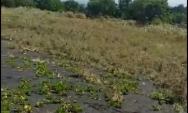 Tanah Pinggir Pantai Langsung Laut Lepas. Cocok untuk Tambak
