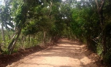 Terreno en venta en YUCATÁN