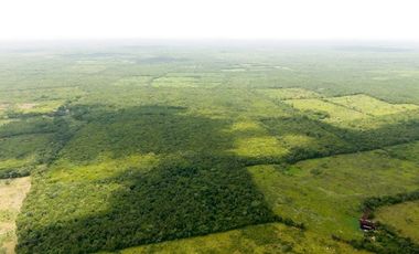 Terreno en venta en YUCATÁN