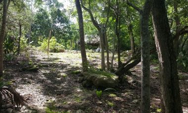 Terreno en venta en YUCATÁN