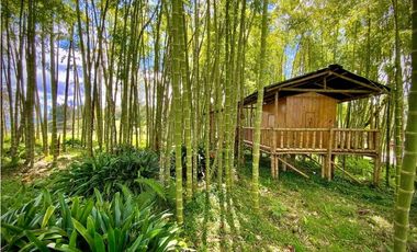Venta Casa Campestre Via Don Diego La Ceja (El Retiro)