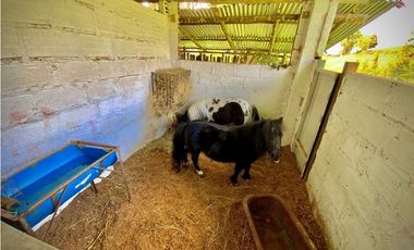Venta Casa Campestre Via Don Diego La Ceja (El Retiro)