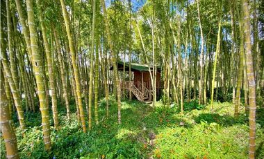 Venta Casa Campestre Via Don Diego La Ceja (El Retiro)