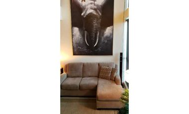 ALQUILER APARTAMENTO TIPO LOFT AMOBLADO