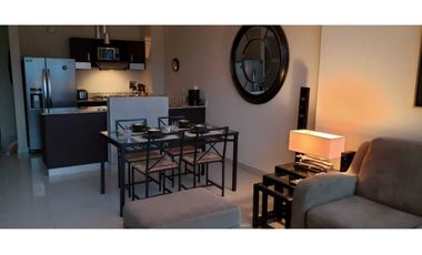 ALQUILER APARTAMENTO TIPO LOFT AMOBLADO