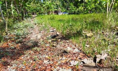 Rumah Minimalis asri pedesaan harga SPESIAL AKHIR TAHUN