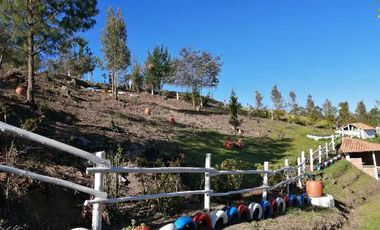 parcelas en chiquinquira Vendo o Permuto