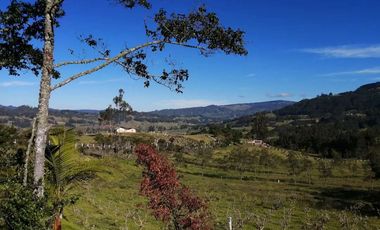 parcelas en chiquinquira Vendo o Permuto