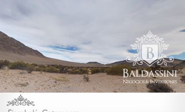 Campo 60.000 ha. Fiambalá, Catamarca
