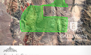 Campo 60.000 ha. Fiambalá, Catamarca