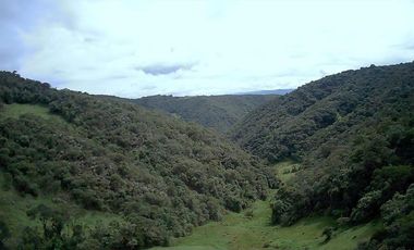 Terreno de 27 hectareas de Venta en Cuenca, Sector Tarqui.