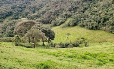 Terreno de 27 hectareas de Venta en Cuenca, Sector Tarqui.