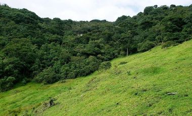 Terreno de 27 hectareas de Venta en Cuenca, Sector Tarqui.