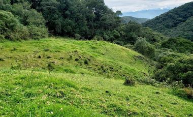 Terreno de 27 hectareas de Venta en Cuenca, Sector Tarqui.