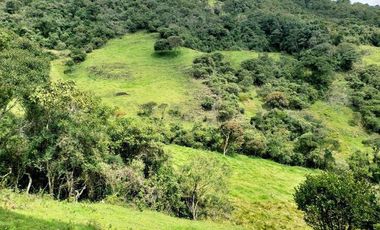 Terreno de 27 hectareas de Venta en Cuenca, Sector Tarqui.