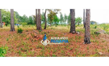 Vendo terreno en Alto Boquete, para proyecto residencial o comercial