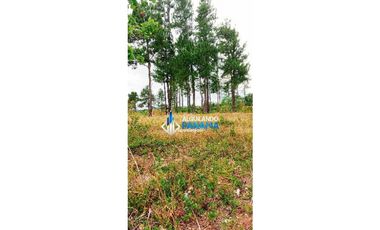 Vendo terreno en Alto Boquete, para proyecto residencial o comercial