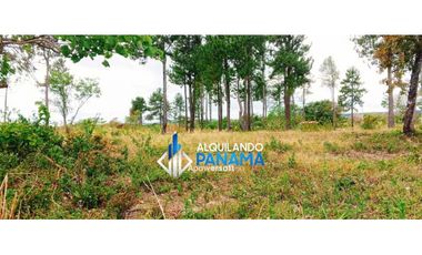 Vendo terreno en Alto Boquete, para proyecto residencial o comercial