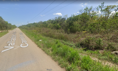 Terreno en Venta en Felipe Carrillo Puerto