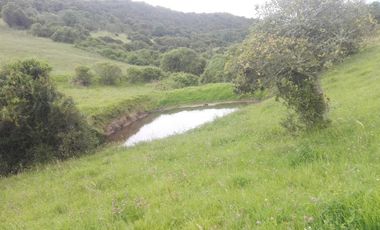 FINCA  GUASCA   . 14.500 m2