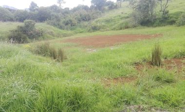 FINCA  GUASCA   . 14.500 m2