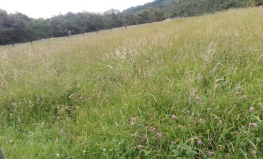 FINCA  GUASCA   . 14.500 m2