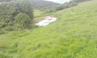 FINCA  GUASCA   . 14.500 m2