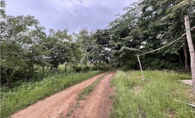 Venta: Finca de 22hcts en Cerro Colorado de La Pintada