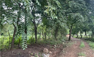 Venta: Finca de 22hcts en Cerro Colorado de La Pintada