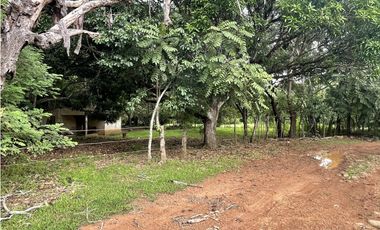Venta: Finca de 22hcts en Cerro Colorado de La Pintada