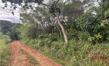 Venta: Finca de 22hcts en Cerro Colorado de La Pintada