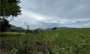Venta: Finca de 22hcts en Cerro Colorado de La Pintada