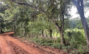 Venta: Finca de 22hcts en Cerro Colorado de La Pintada