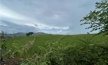 Venta: Finca de 22hcts en Cerro Colorado de La Pintada