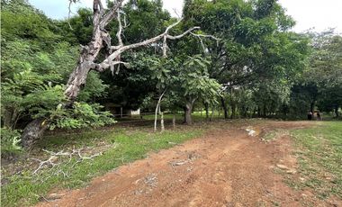 Venta: Finca de 22hcts en Cerro Colorado de La Pintada
