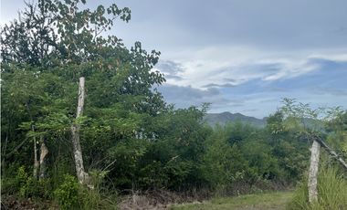 Venta: Finca de 22hcts en Cerro Colorado de La Pintada