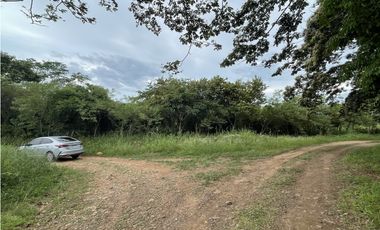 Venta: Finca de 22hcts en Cerro Colorado de La Pintada