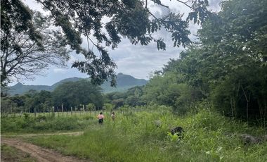 Venta: Finca de 22hcts en Cerro Colorado de La Pintada