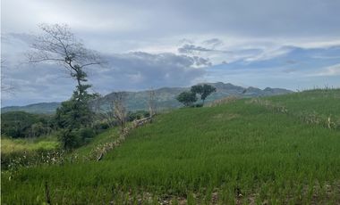 Venta: Finca de 22hcts en Cerro Colorado de La Pintada