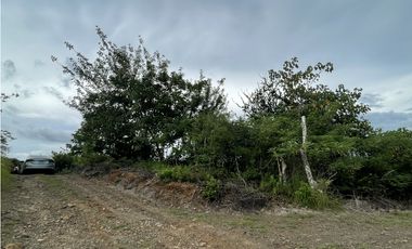 Venta: Finca de 22hcts en Cerro Colorado de La Pintada