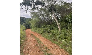 Venta: Finca de 22hcts en Cerro Colorado de La Pintada